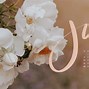 Image result for June Calendar Background