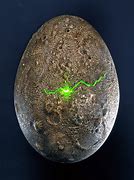 Image result for Alien Egg Prop