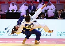 Image result for Judo Arm Slam