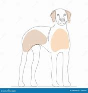 Image result for Continuous Line Drawing Dog