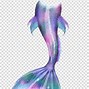 Image result for Mermaid Fin