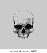 Image result for CGI Skull No Jaw