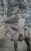 Image result for Gregorio Del Pilar Goyo