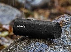 Image result for Cplfromholland Sonos Roam