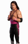 Image result for Bret Hart WCW Logo.png