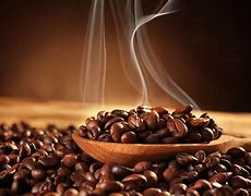 Image result for Unroasted Portrait Coffee Beans