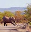 Image result for South Africa Places to Go