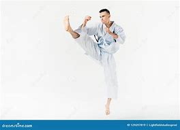 Image result for Japanese Man Karate Kick