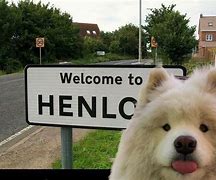 Image result for Helno Meme