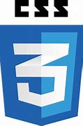 Image result for CSS Logo.png