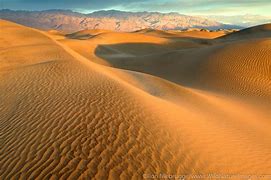 Image result for Mojave Desert Spiders