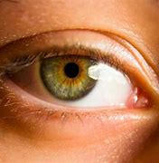 Image result for Dark Grey Hazel Eyes