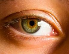 Image result for Red Hazel Eyes