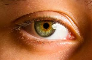 Image result for Black with Hazel Eyes