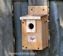 Image result for Wren Nest Box Plans