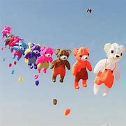 Image result for Animal Inflatable Kite