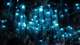 Image result for Glow in the Dark Plastic Worms