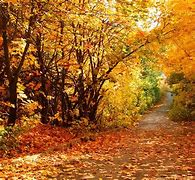 Image result for Beautiful Fall Scenery Wallpaper