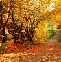 Image result for Beautiful Fall Scenery Wallpaper