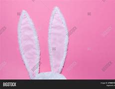 Image result for Hare White Background Long Ears