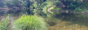 Image result for Lepas Bay Ecological Reserve Red River