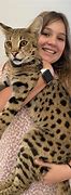 Image result for Big House Cat Savannah