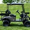 Image result for Small Electric Carts