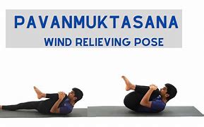 Image result for Pavanmukhtasana