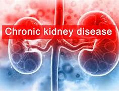 Image result for Chronic Kidney Disease