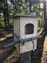 Image result for Barred Owl Nest Box