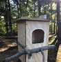 Image result for barred owl nest box camera