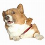 Image result for Animated Corgi