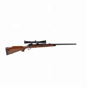 Image result for 6Mm Hunting Rifle