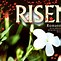 Image result for He Is Risen Easter Wishes