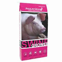 Image result for Jumbo Swine Pellets