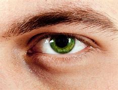 Image result for Olive Green Eyes Men