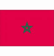 Image result for morocco flag vector