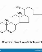 Image result for Cholesterol Molecule Diagram