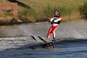 Image result for Water Skiing Gerbils