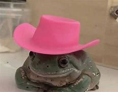 Image result for Frog Boy PFP