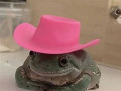 Image result for Frog PFP