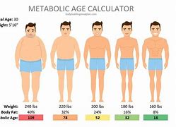 Image result for Metabolic Rate Calculator