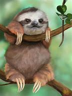 Image result for Cute Cartoon Baby Sloth