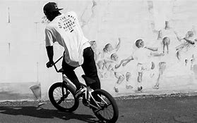 Image result for Vans Wheels BMX Bike Gold