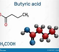 Image result for Butanoate