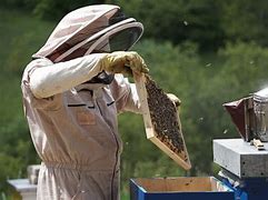 Image result for Beginning Beekeeping