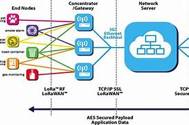 Image result for Lora Chip 1WT