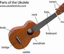 Image result for What Is a Ukulele