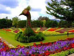 Image result for Wisata Cianjur