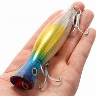 Image result for Popper Lure